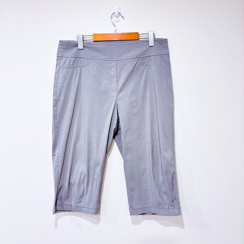 EMOTIONS Gray stretch capri‎ pants | Casual everyday | Size 14